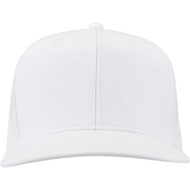 Logo trade firmakingi pilt: Drift Snapback 260 g/m2 6 paneeliga nokamüts