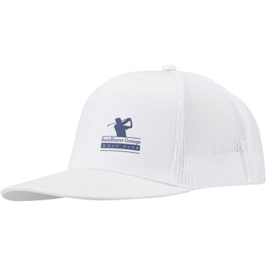 Logo trade firmakingi pilt: Drift Snapback 260 g/m2 6 paneeliga nokamüts