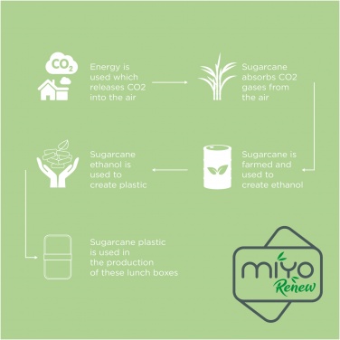 Logotrade liikelahjat mainoslahjat tuotekuva: MIYO Renew kaksikerroksinen lounasrasia