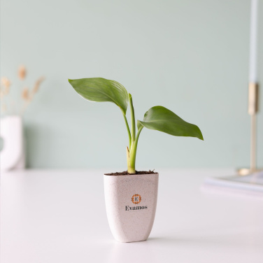 Logotrade mainoslahja ja liikelahja kuva: Treemore Letterbox Trees Bird of Paradise -kasvi