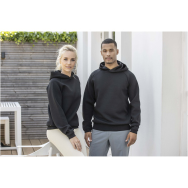 Logotrade verslo dovanos nuotrauka: „Danali“ unisex sportinis džemperis su gobtuvu