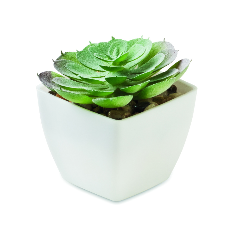 Logotrade dovana nuotrauka: Mini dirbtinis augalas